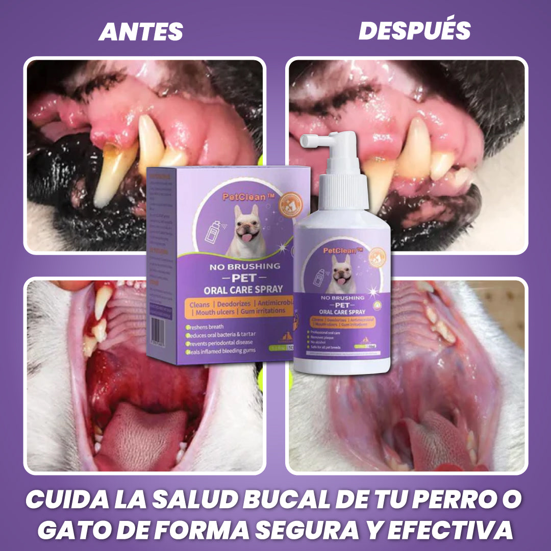 Spray dentífrico 100% natural para el cuidado bucal de perros y gatos - Clean Pet™